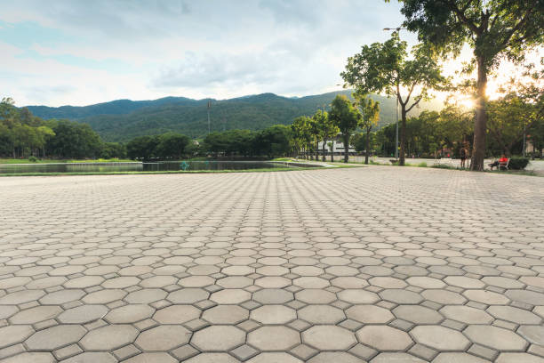 Best Commercial Driveway Pavers  in Reedsville, WI